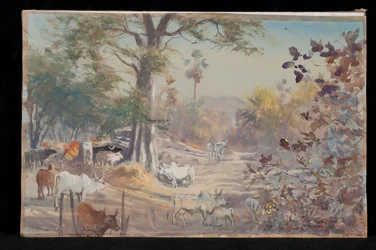 Bydło, Jambughoda, 2009